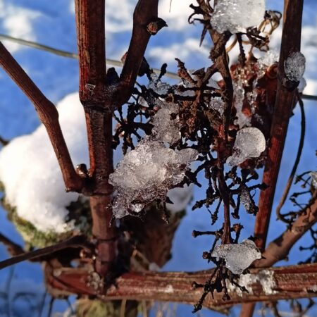 Pakete für besondere Anlässe